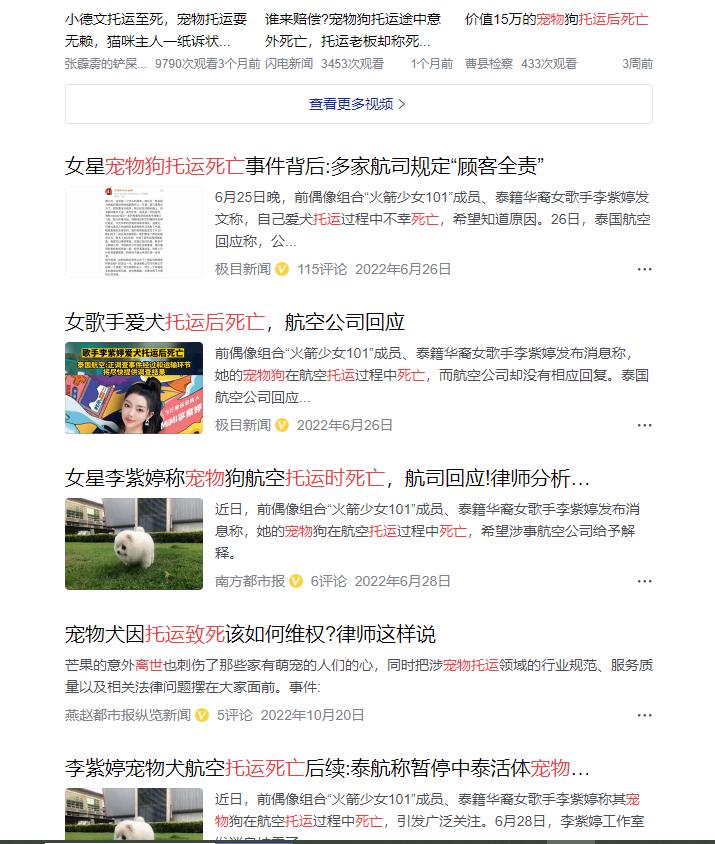 新手铲屎官养什么宠物比较合适,铲屎官要上班如何照顾他的宠物