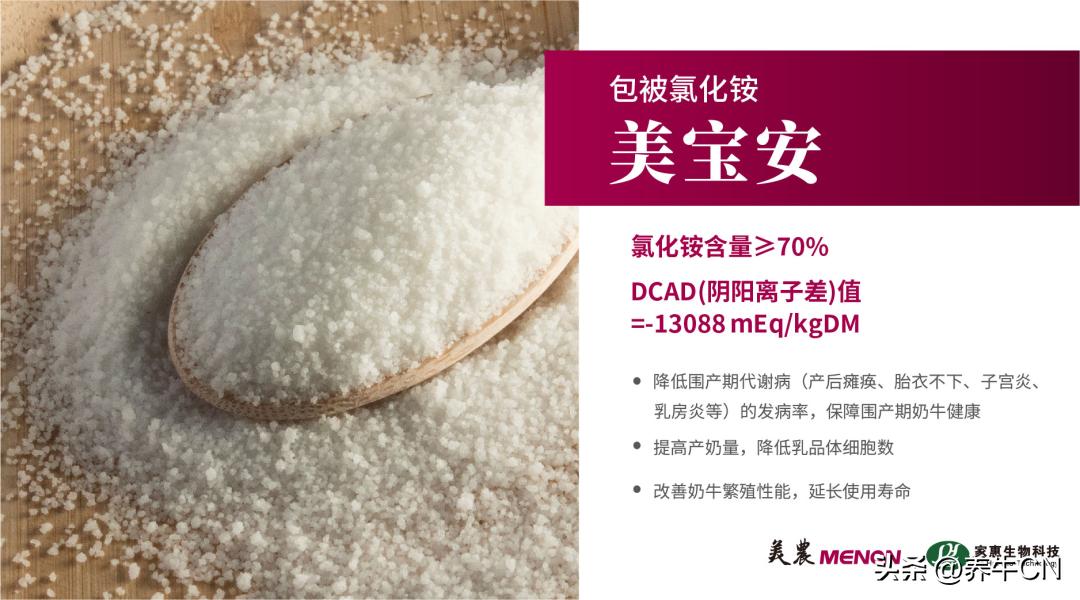 奶牛围产期阴离子盐添加量,阴离子日粮