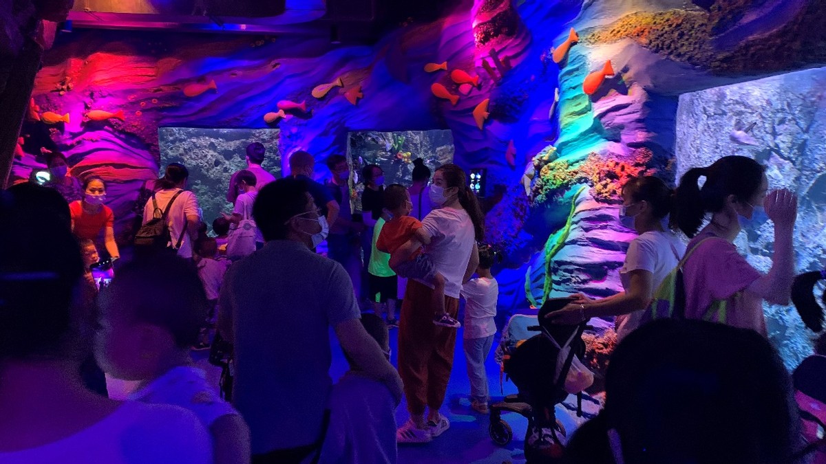 深圳观澜亲子游十大排行榜,深圳周边儿童好玩的海洋世界推荐