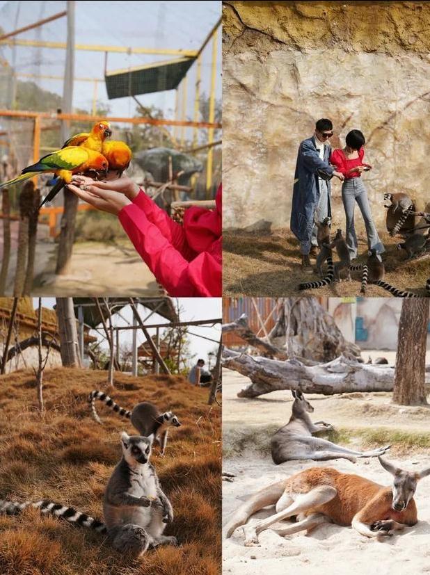 福州宝藏打卡地,福州的小众宝藏目的地