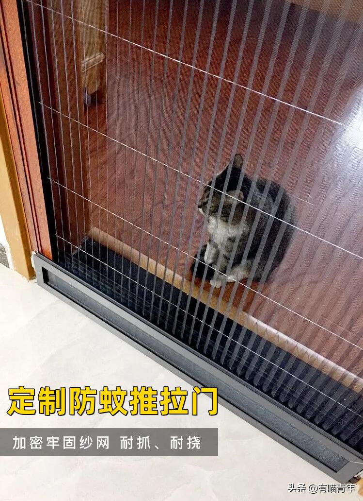 养猫不能放蟑螂药怎么办,养猫不能用的驱蚊方法
