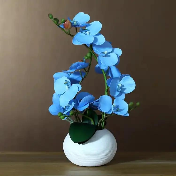 新年，贫富都要有“六种吉祥果”“六种吉祥花”，虎年虎虎生威