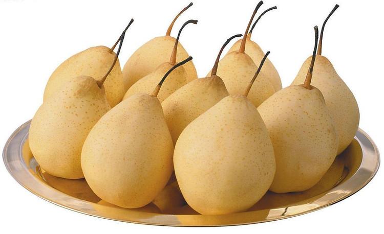 冬季润肺去燥必吃水果,想要润肺建议多吃这2种水果