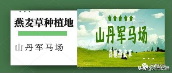奶牛移胃的主要原因,奶牛移胃保守治疗方法