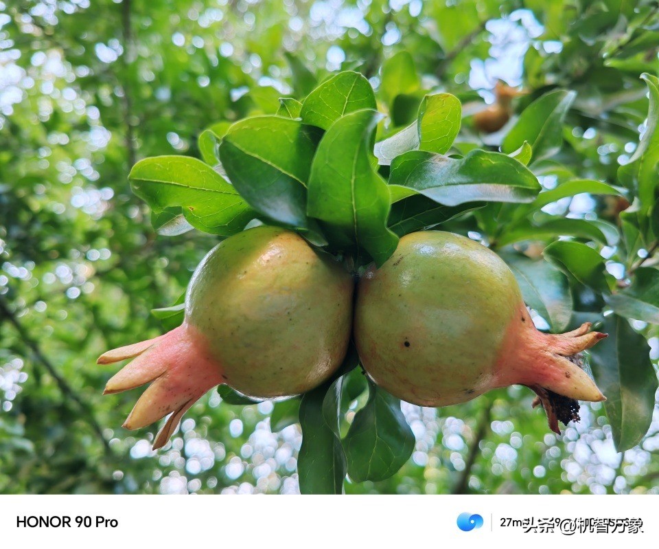 荣耀90promagicos7.1游戏模式,荣耀90在哪里升级magic8.0系统