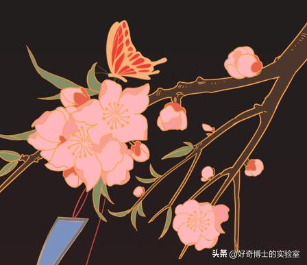 吃补阳气的中药后身体有哪些变化,吃了药身体会发生什么变化