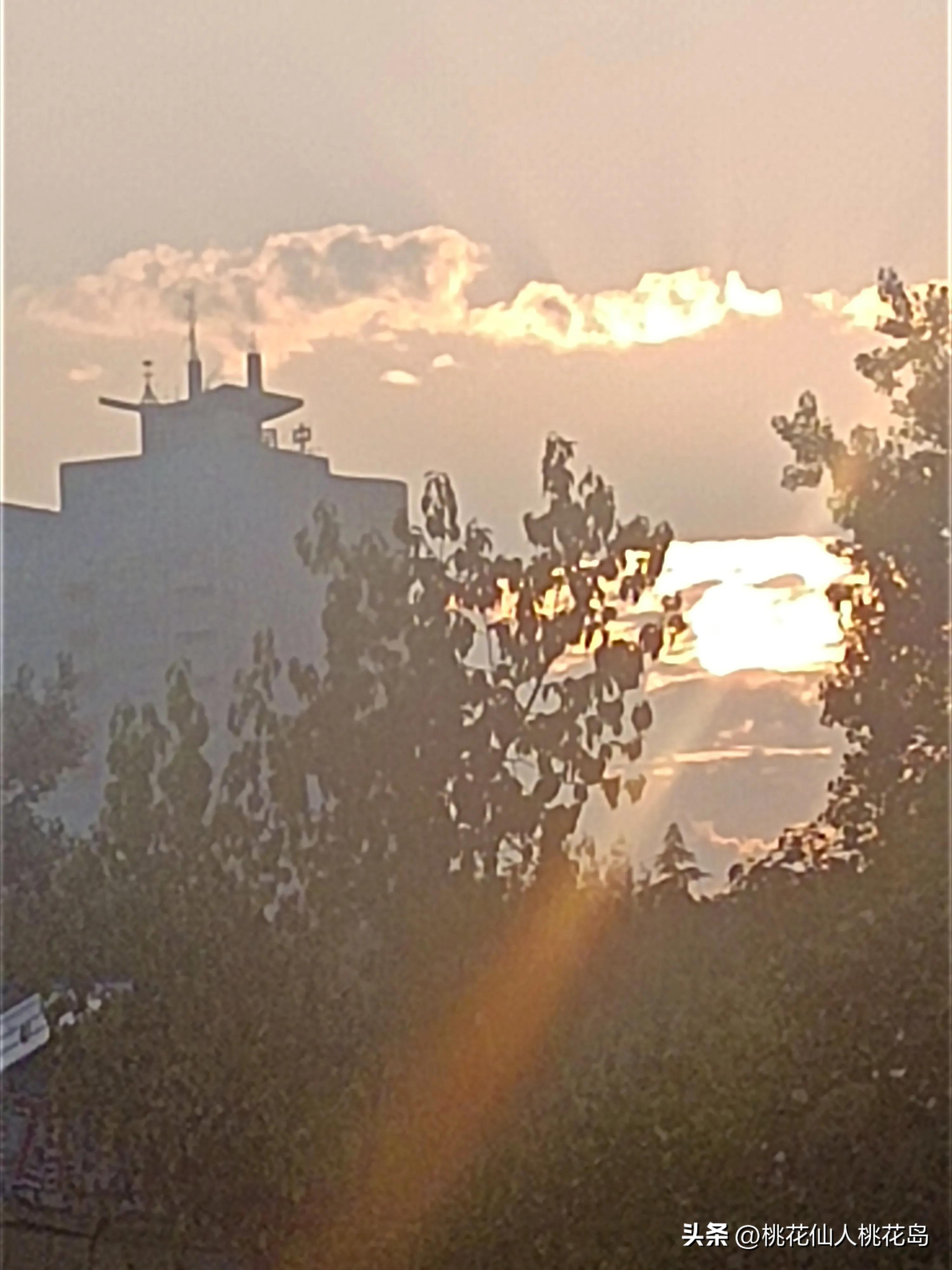 我爱我的母亲，但是卑微的我，却无法挽回她的生命。只有心如刀割