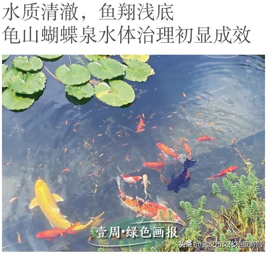 武汉体育公园,武汉未来中心运动公园