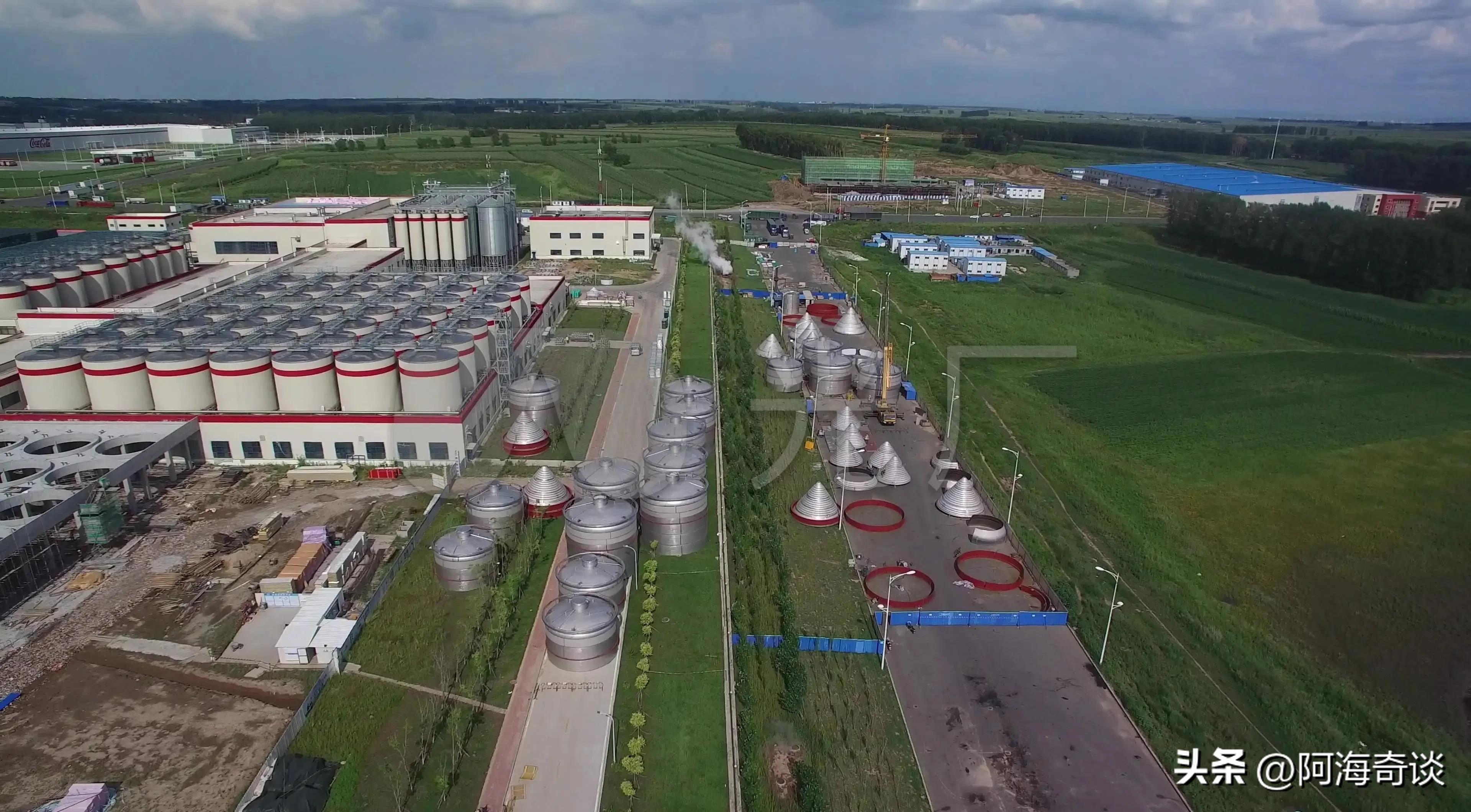 曾经是国产啤酒的老大哥，如今却沦为外资，哈啤还能再复兴吗