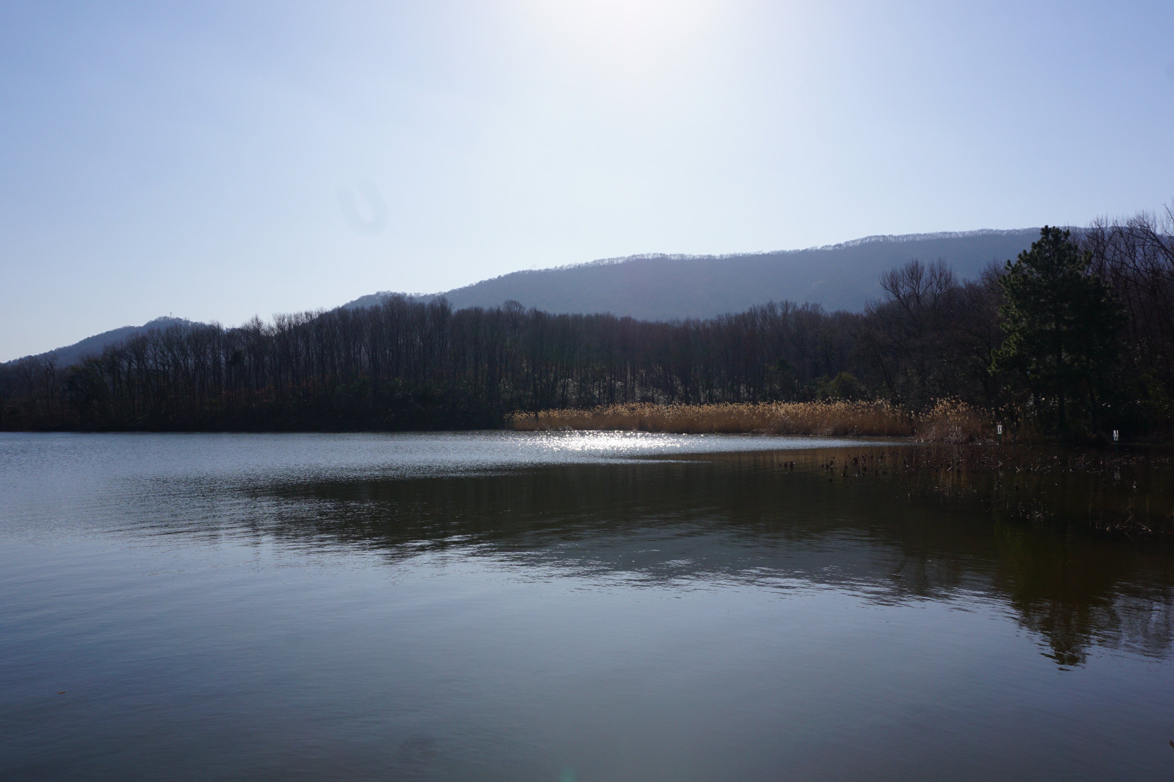 南京人看杭州,南京紫金山庄在哪里