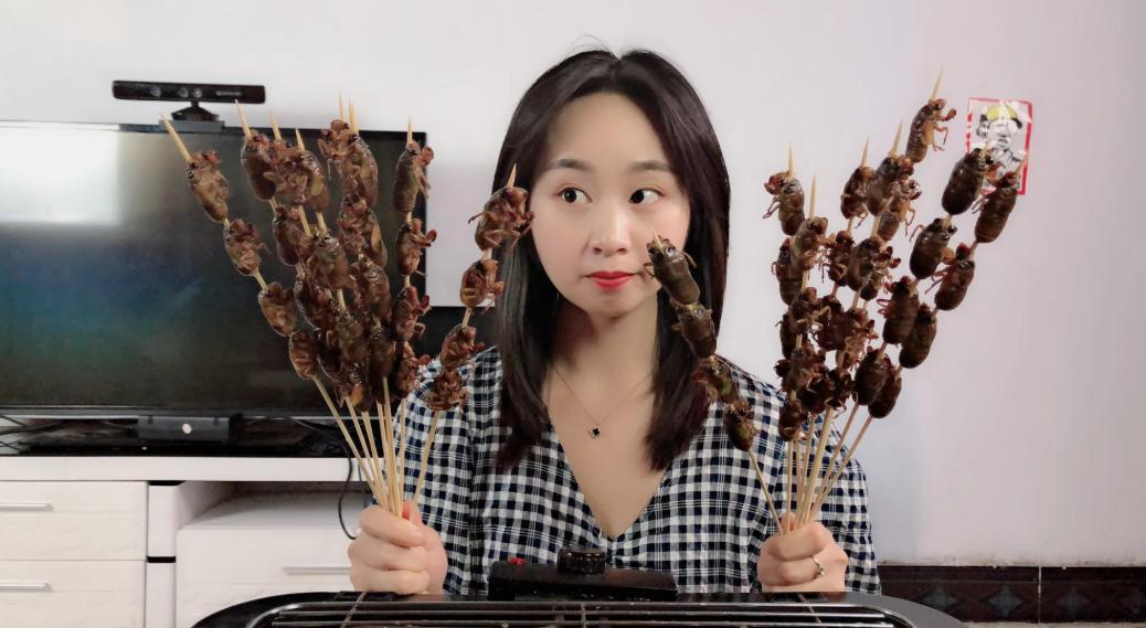 丽水知了每斤卖400元,丽水市民抓知了卖260元一斤