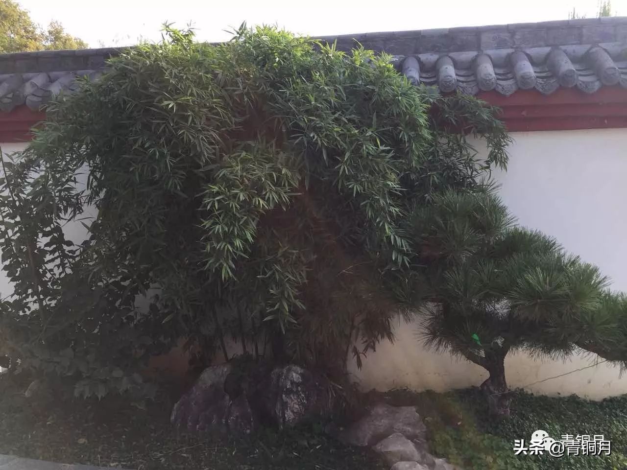 红楼梦第十八回笔记,红楼梦第十八回分享