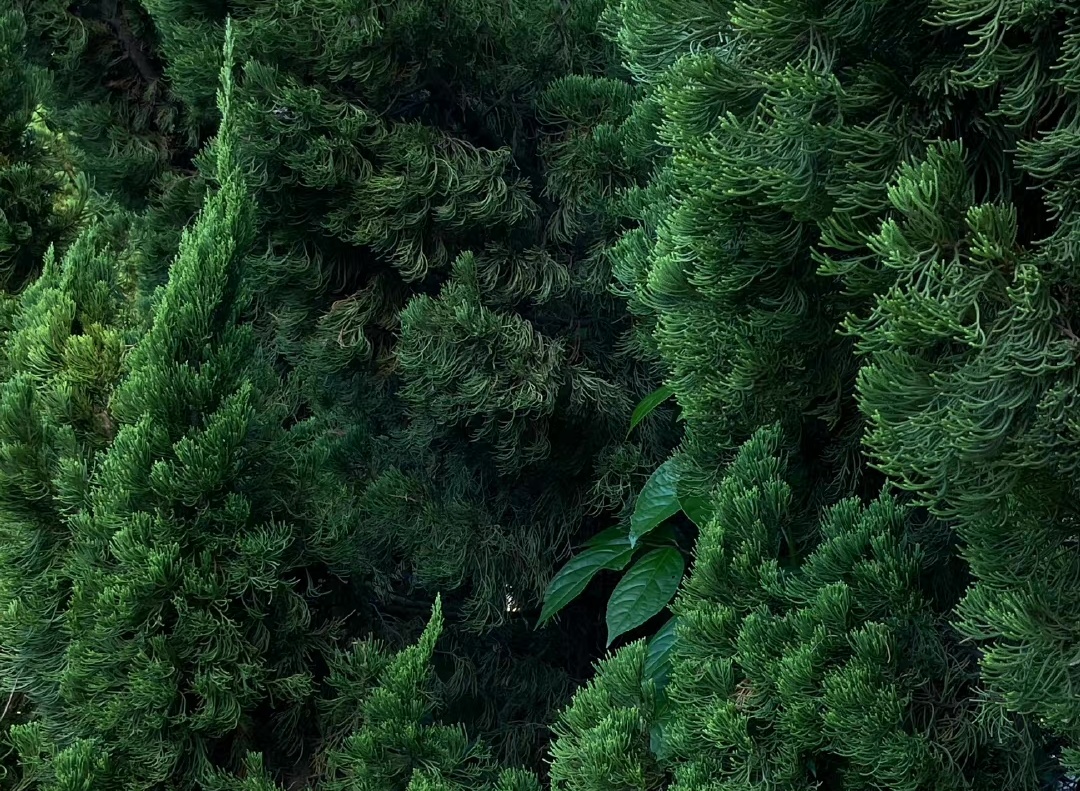 当代成年人，无心恋爱只想搞钱，12条赚钱干货送你