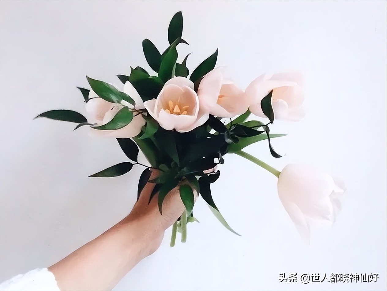 笑过后深思,笑过之后你懂得了什么