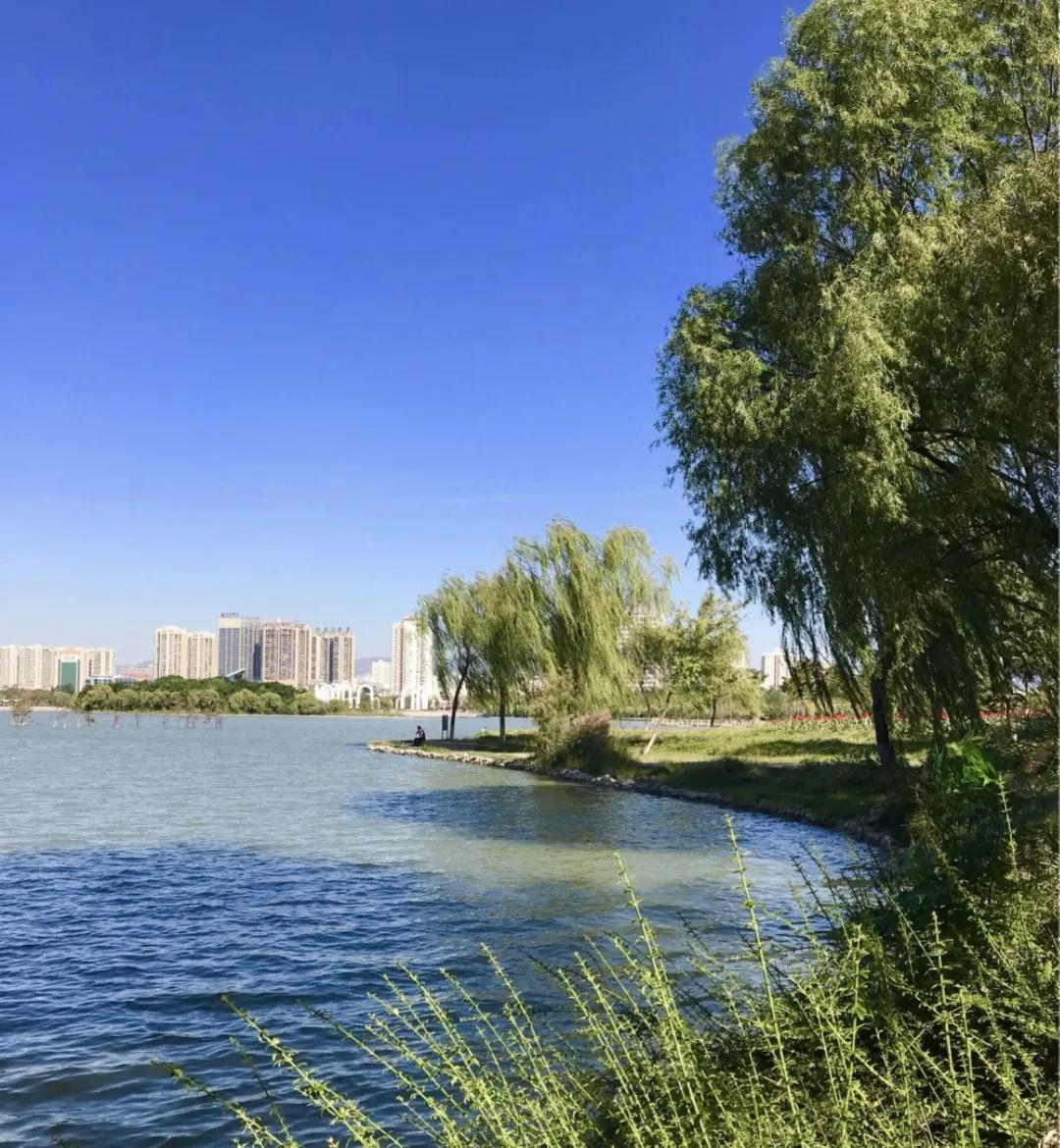 城中花园，美且泊车方便，重要的是不需要掏一分钱门票（二）