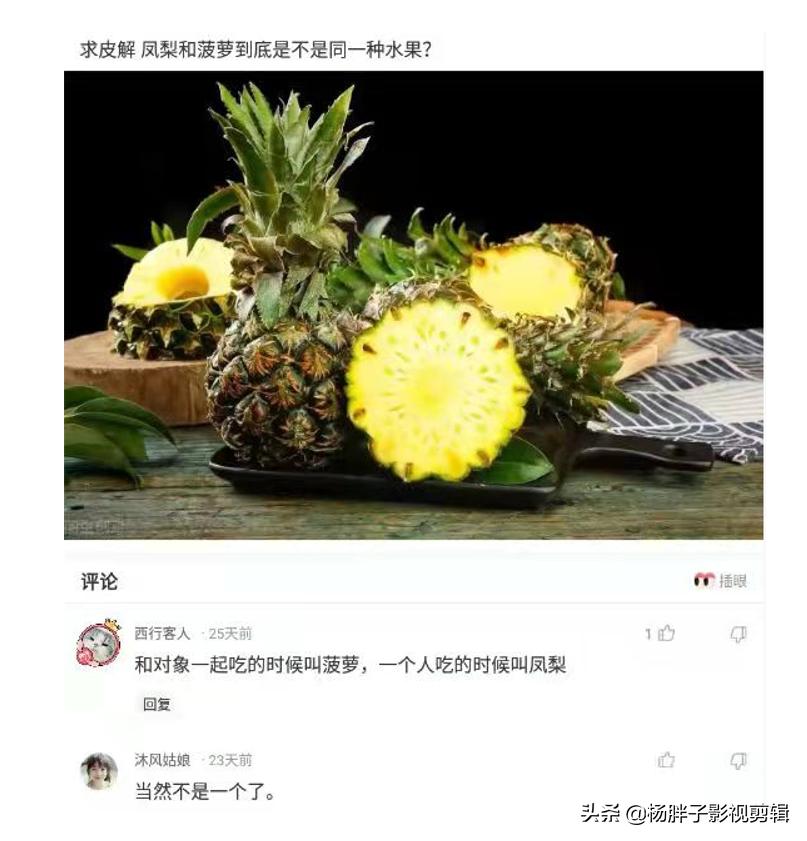 菠萝与凤梨是同一种水果吗,与凤梨菠萝相似的水果