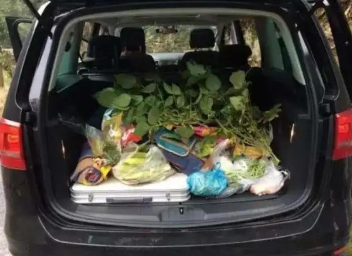 提醒各位车内不要放易燃易爆品,后备箱报废