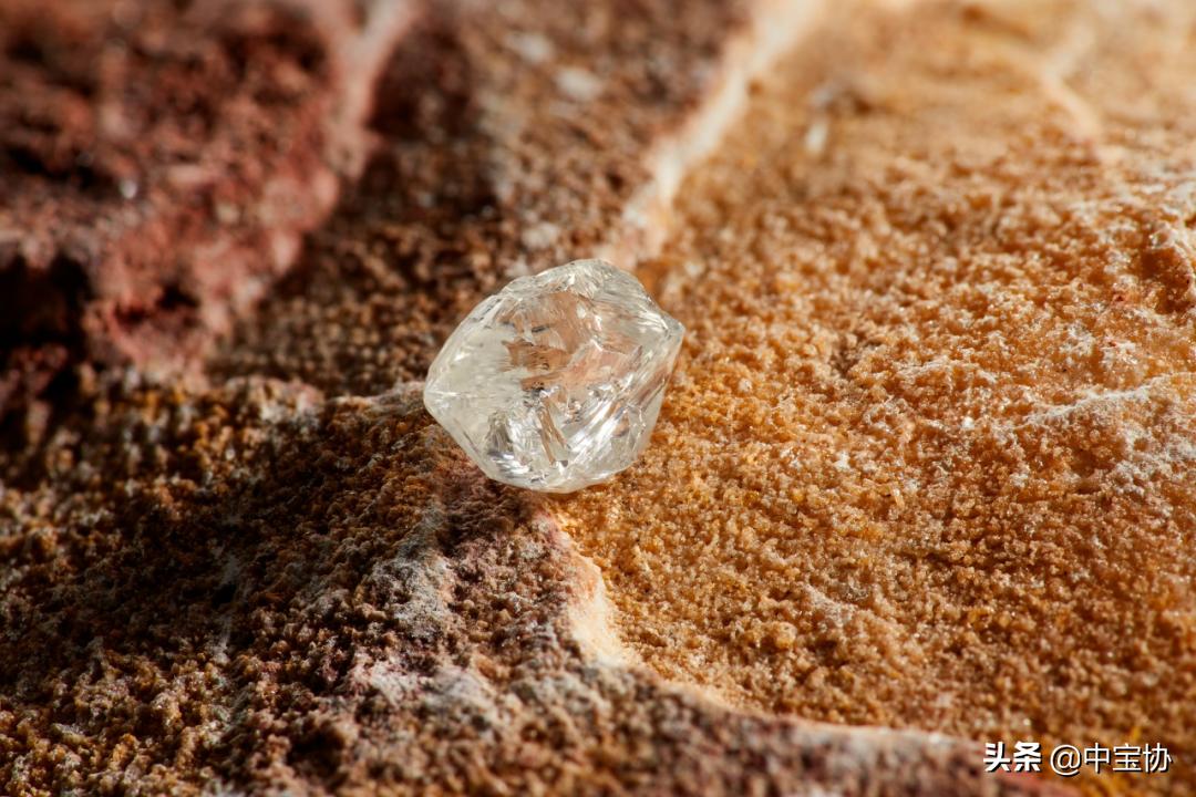 消博会全方位逛展攻略来了,消博会黄金展位