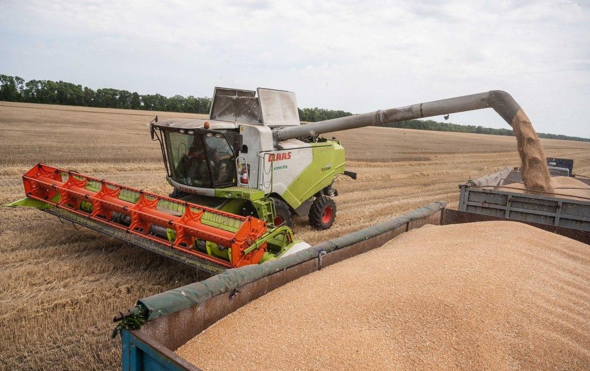 乌克兰的粮食出口给中国了没有,乌克兰给中国物资了吗