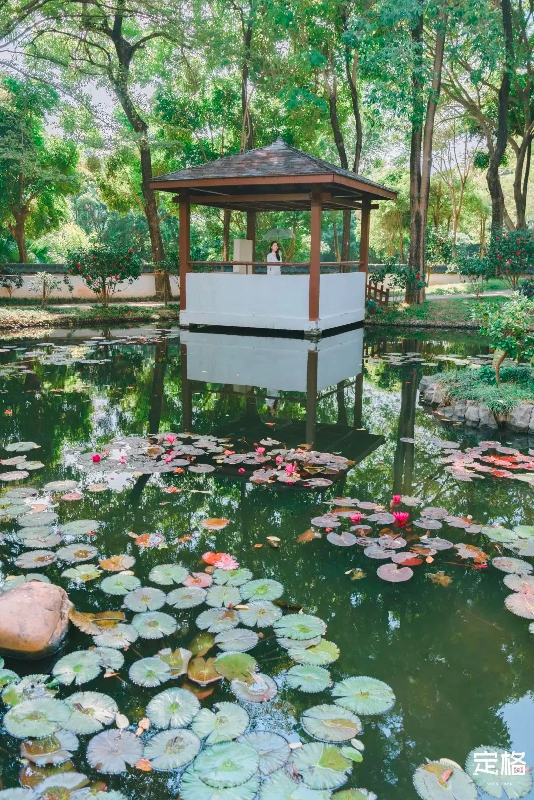 周末来深圳这10个地方免费玩,深圳周末去哪玩免费的地方