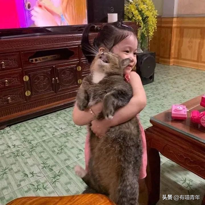 鑷粠鍏讳簡鐚氨鍐嶄篃娌℃湁涔拌繃琛ｆ湇,鑷粠鍏讳簡鐚氨娌＄粰鑷繁涔拌繃闆堕