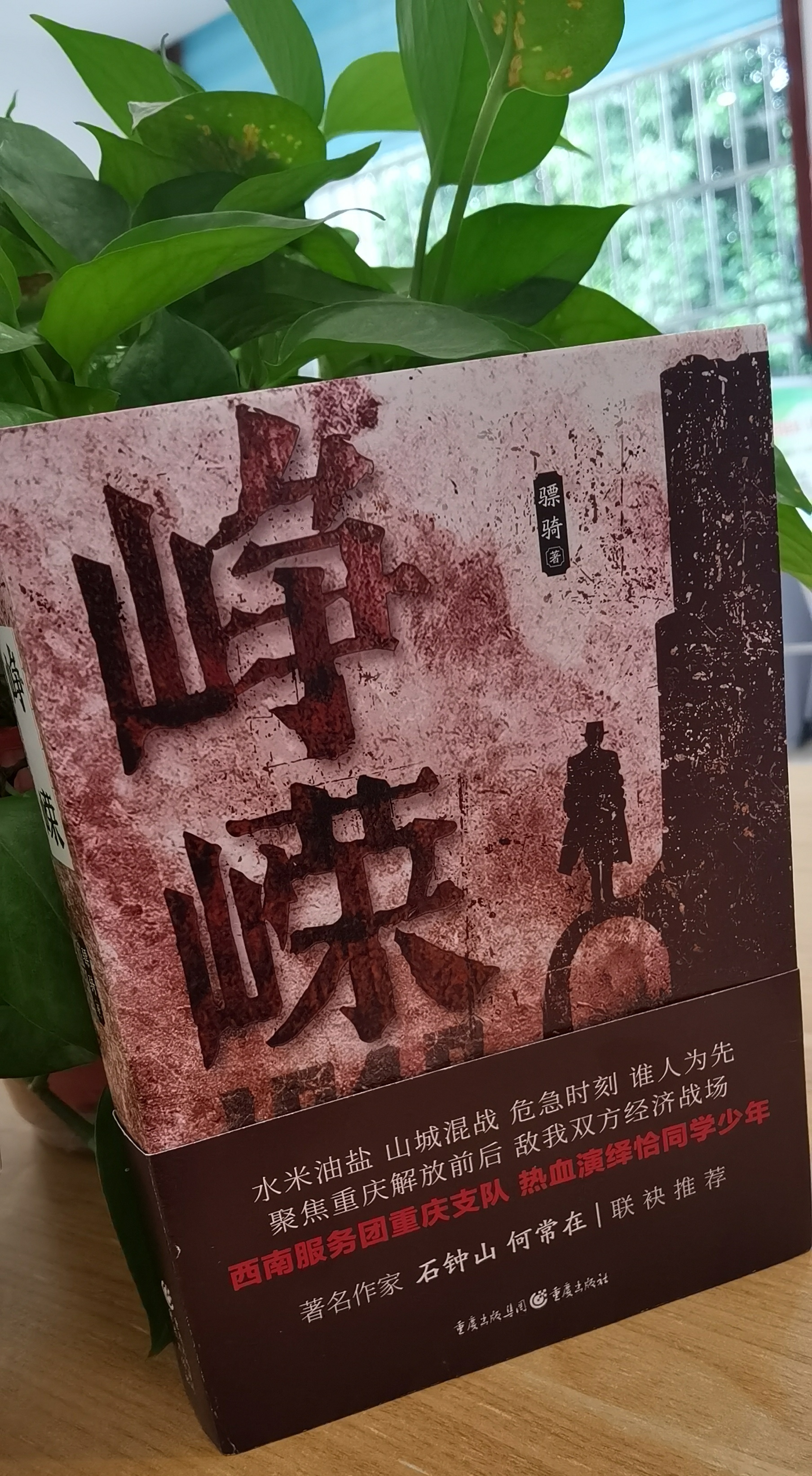 看了一本书开了一家店,看了一本书感触很深