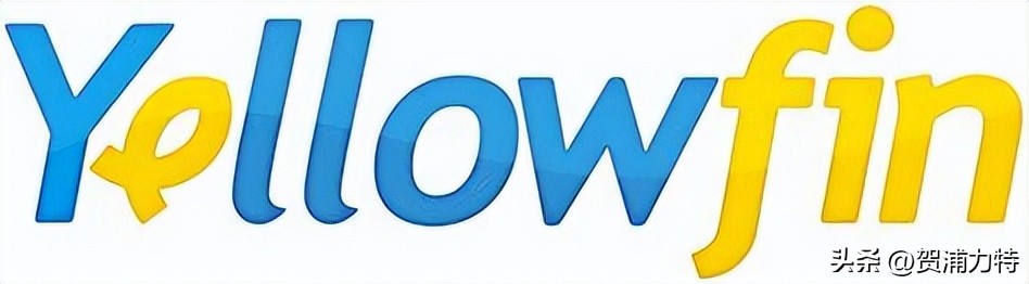 常用的bi工具有哪些,有哪些好用的bi分析工具