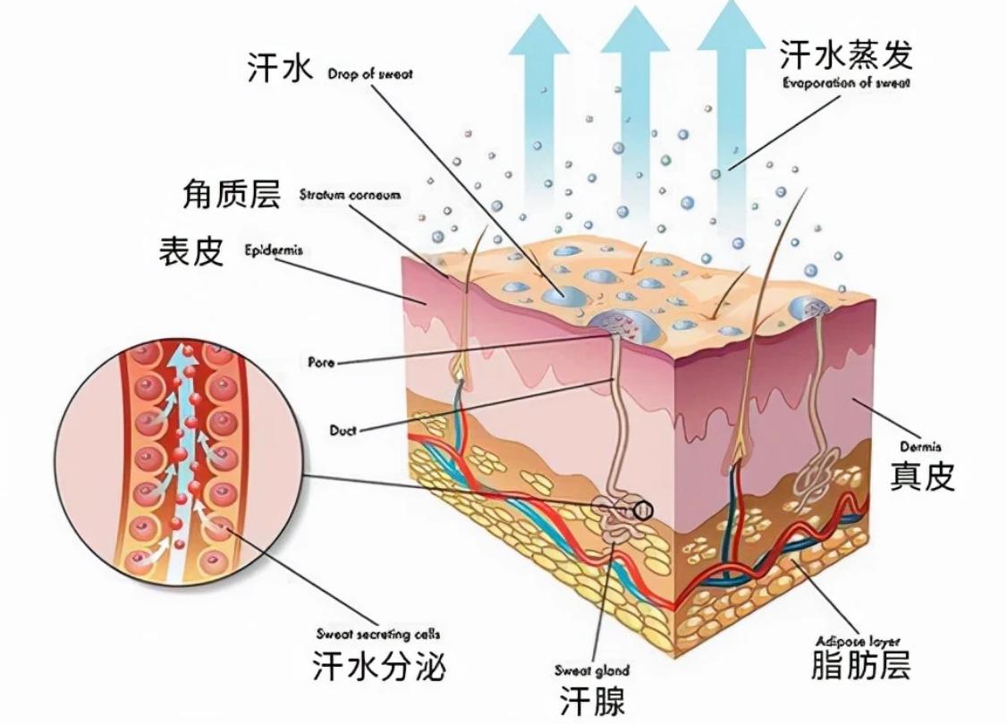 月经会传染？了解根源不必紧张！出现4个异常才要多心留意