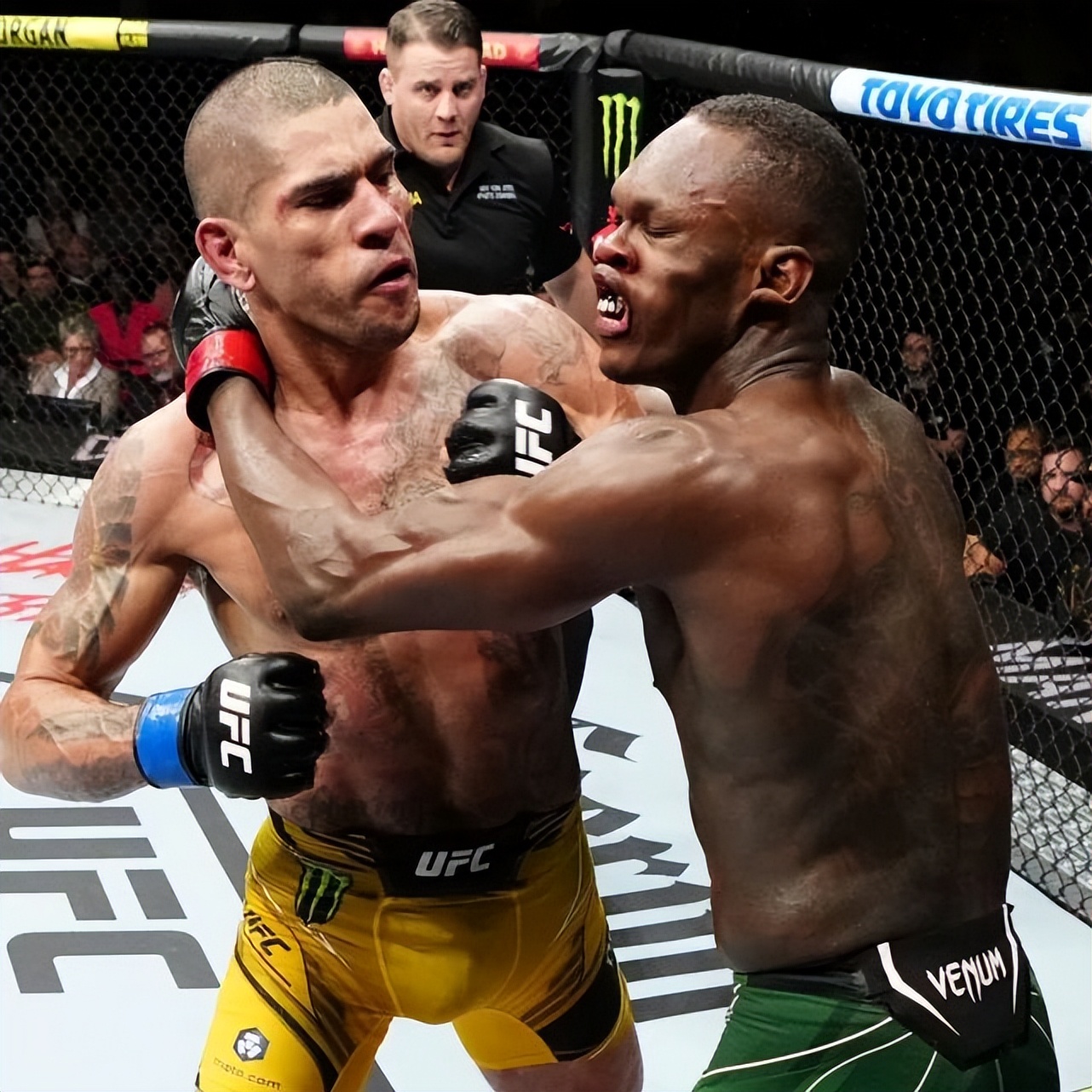 ufc拳手看张伟丽比赛的表情,ufc最有钱的女子拳手第一名