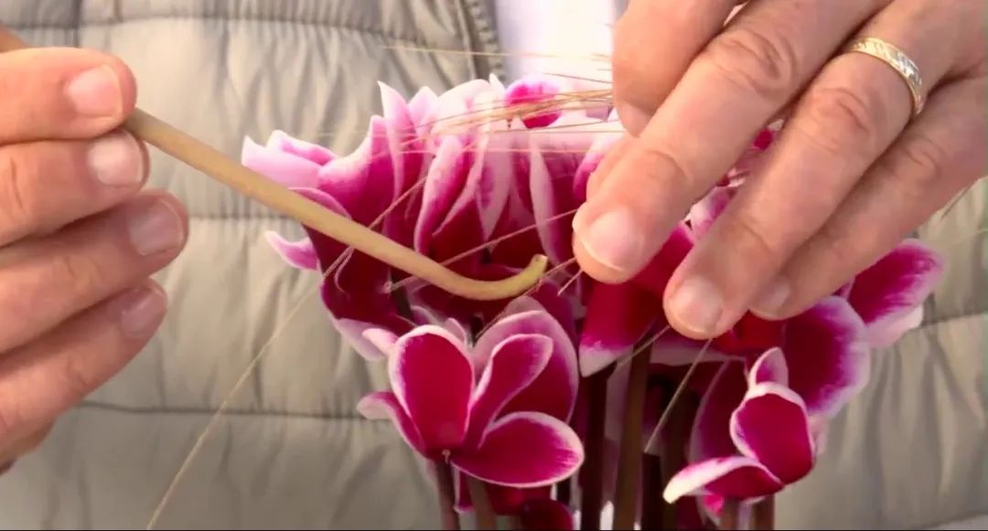 娉曞浗鑾幈灏斾粰瀹㈡潵鍝佺,鑾幈灏斾粰瀹㈡潵