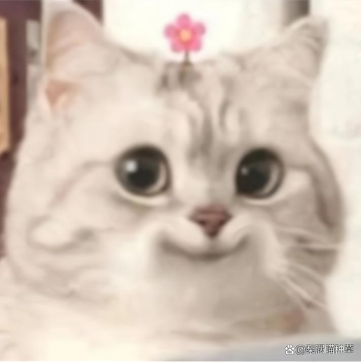 厦门混油皮控油补水护肤品推荐,油皮混油皮看过来