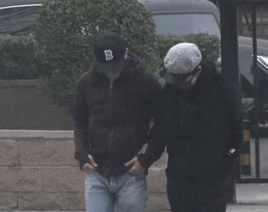 王菲最后为何还是选择了谢霆锋,王菲谢霆锋的坎坷十年经历