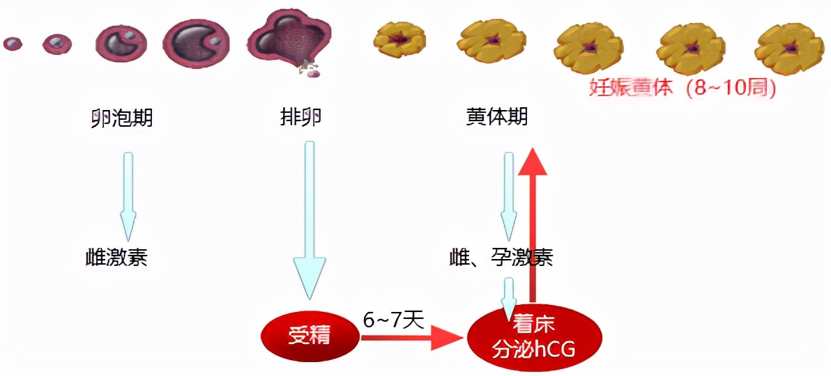 怕她不来又怕她乱来的文案,怕她不来又怕她乱来出处