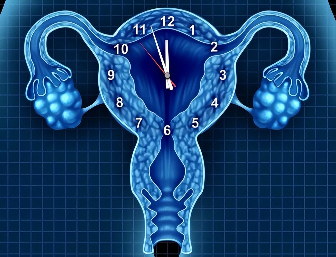 41岁试管一般几次成功,试管一般几次成功大概花多少钱