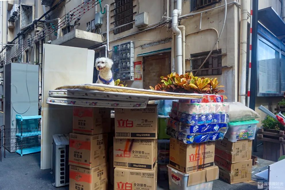 租房搬家的感受和心酸,搬家了房租涨了