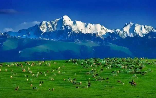 美国人养牛新方法,美国人养牛的方法