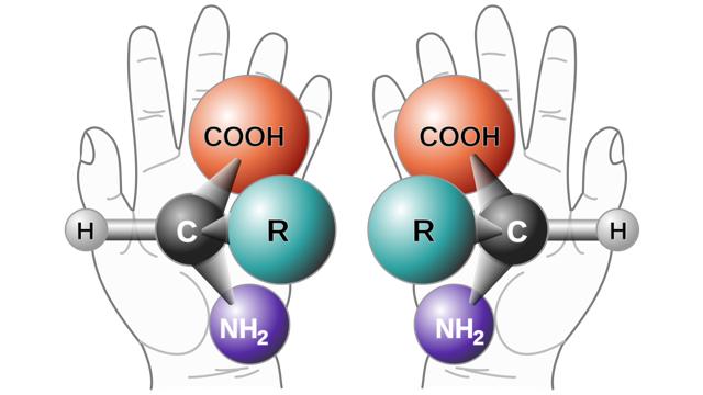 生物学是什么时候开始学习,生物学研究生就业前景如何
