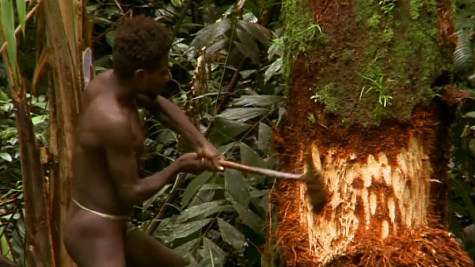 现存的食人族原始部落,世界上最后一个食人族部落