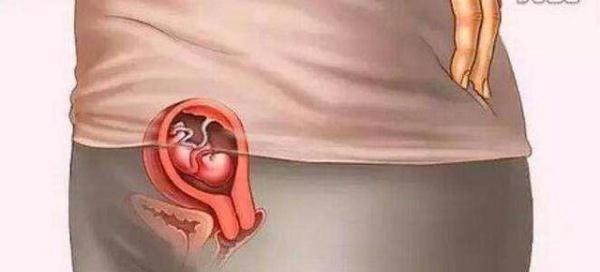 母爱伟大！十张图带你看胎儿成长的壮丽过程