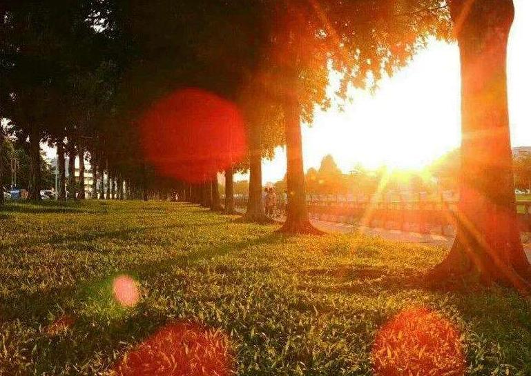 古诗词经典唯美名句岁月静好,感慨时光流逝的诗句古诗大全