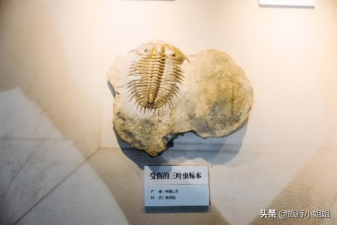 夏日海边微醺氛围感,滨城风光秀丽浪漫气息爆表