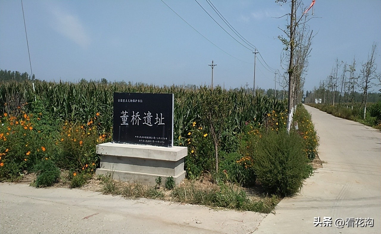 西平县107现在建的啥,1986河南驻马店西平