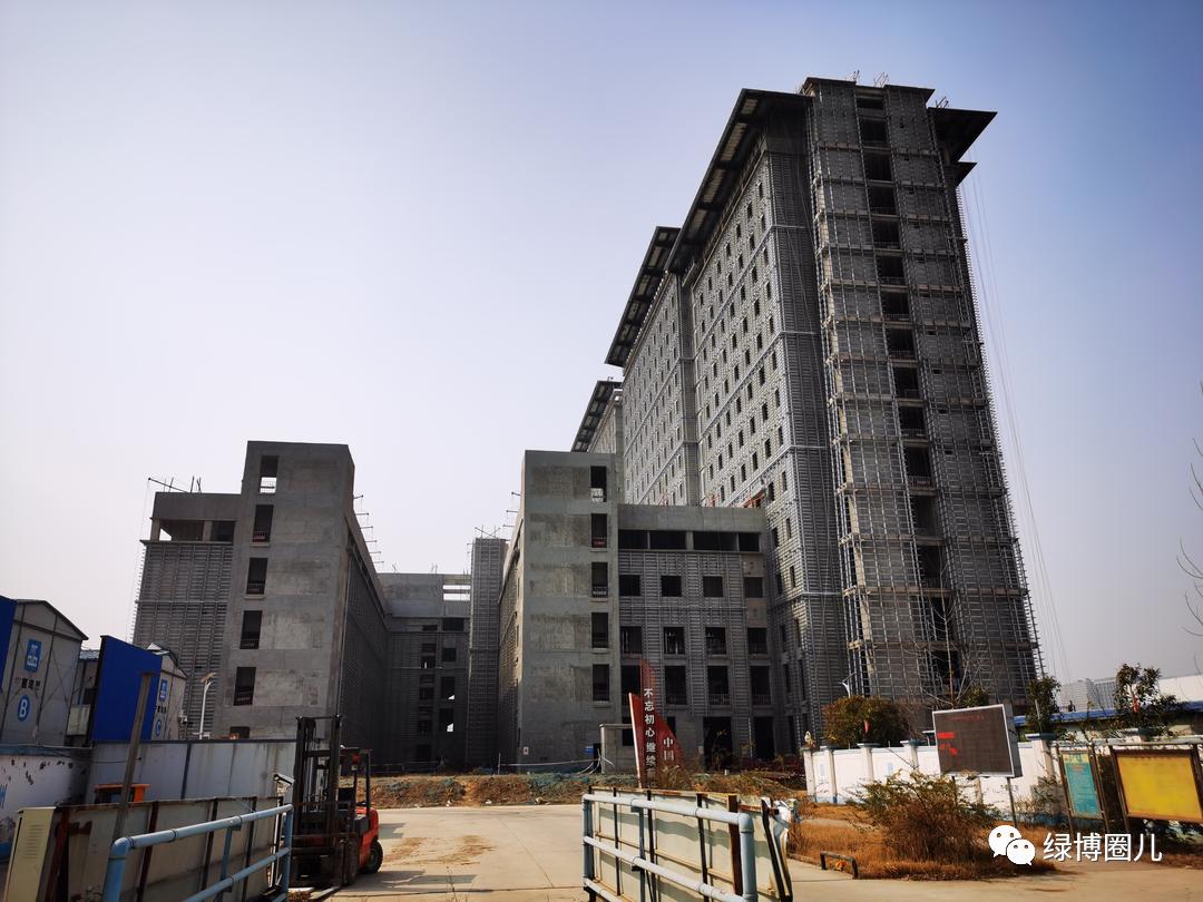 绿博真实现状,5年后绿博