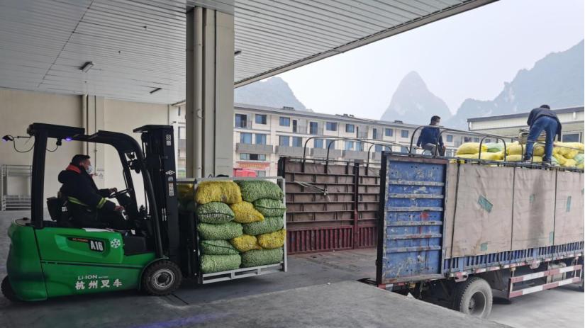 河池福达冷链农产品有限公司,河池福达冷链冻品批发