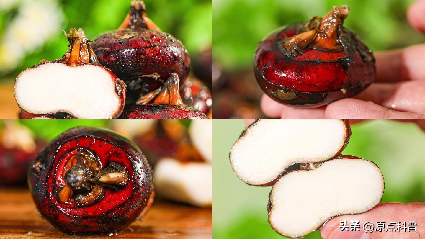 生豆角吃了会中毒吗,生豆角生吃多少就会中毒