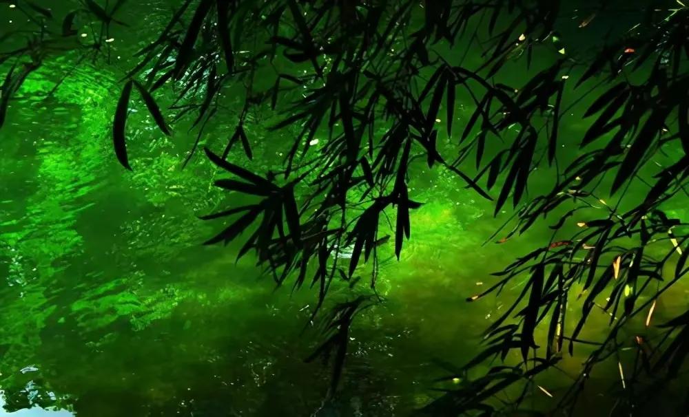 竹五绝诗,古诗五绝竹