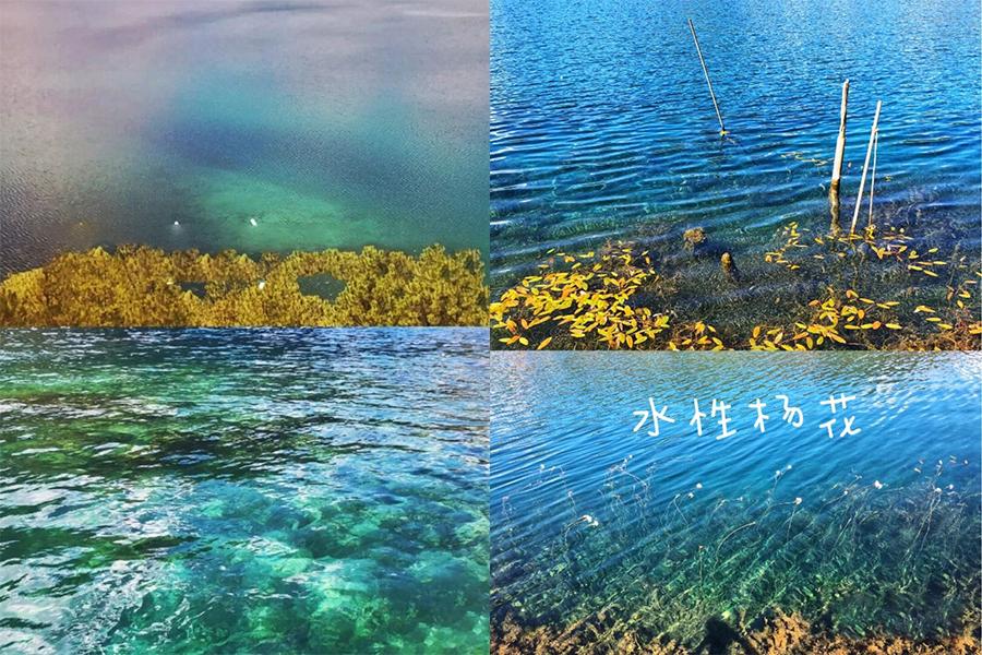 你去过仙境吗,你去过四川吗翻译成英文