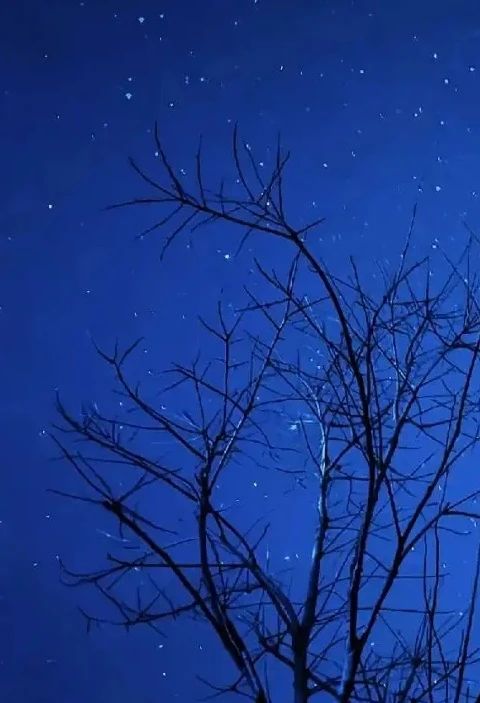 许昌的冬天有多冷,许昌的冬天会冷吗