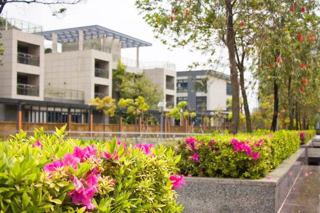 又是“别人家的大学”!“两房一厅”宿舍,“花园楼阁”餐厅!