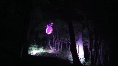 分享美景行走山水间,分享夜晚美景记录生活